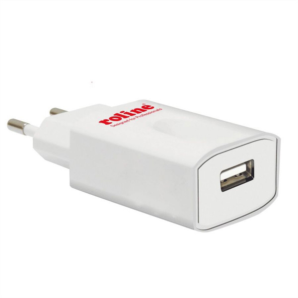 19.11.1025-10 ROLINE USB Wall Charger