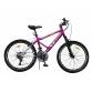 ST WARRIOR MTB Велосипед 24SE04